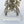 Load image into Gallery viewer, Antique Skeleton Clock, France, circa 1900