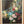 Load image into Gallery viewer, Still Life with Flowers by M. Roblie