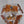 Load image into Gallery viewer, Vintage Italian Pendant w/ Clear & Amber Murano Glass by Mazzega