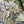 Load image into Gallery viewer, Set of Three 18th Century Large Italian Majolica Plaques
