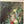 Load image into Gallery viewer, Still Life with Flowers by M. Roblie