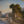 Load image into Gallery viewer, 19th Century Continental School Painting