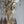 Load image into Gallery viewer, French 19th Century Gilt Bronze Chandelier