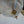 Load image into Gallery viewer, Italian Opalescent Glass Chandelier after Sabino