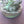 Load image into Gallery viewer, Jean Boulogne Bronze Sculpture