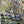 Load image into Gallery viewer, Set of Three 18th Century Large Italian Majolica Plaques