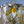 Load image into Gallery viewer, Vintage Italian Chandelier with Clear & Amber Glass by Mazzega