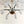 Load image into Gallery viewer, Vintage Italian Chandelier w/ Murano Glass Shades Style of Stilnovo, circa 1960