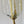 Load image into Gallery viewer, Set of Six Vintage Italian Hand blown Murano Sconces