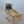 Load image into Gallery viewer, German Pair of Dresden Male & Female Bulldog Porcelain Figures