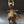 Load image into Gallery viewer, Bronze Native American Sculpture on a Horse by Buck McCain
