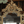 Load image into Gallery viewer, Early 19th Century Italian Gilded Display Cabinet