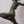 Load image into Gallery viewer, Beautiful Art Deco Statue