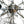 Load image into Gallery viewer, Vintage Italian Chrome Sputnik by Sciolari, c. 1970's