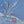 Load image into Gallery viewer, Blue Robert Crowder Screen