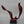 Load image into Gallery viewer, The Flight by Mauricio Sorice