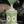 Load image into Gallery viewer, Wedgewood Table Lamp