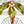 Load image into Gallery viewer, Set of Four American Victorian Leaded Glass Windows