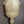 Load image into Gallery viewer, Vintage Sconce w/ Layered Murano Amber Graniglia Glass Leaves by Barovier e Toso