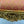 Load image into Gallery viewer, Set of Four 20th Century Italian Hand Carved Water Gilt Chairs