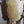 Load image into Gallery viewer, Vintage Sconce w/ Layered Murano Amber Graniglia Glass Leaves by Barovier e Toso