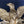 Load image into Gallery viewer, 19th Century American Federal Large Full Eagle Bullseye Mirror