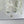 Load image into Gallery viewer, Set of Three Vintage Italian Sconces w/ Hand Blown Murano Glass by Mazzega, c 1960’s