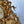 Load image into Gallery viewer, Beautiful French Antique 19th Century Bronze Gold Plated Clock with Eagle Figure. Signed.