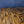 Load image into Gallery viewer, Custom Square, Tiger's Eye Table with Gold Legs