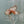 Load image into Gallery viewer, Single Panel by Robert Crowder