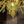 Load image into Gallery viewer, Yellow Green Murano Chandelier