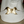Load image into Gallery viewer, Gorgeous Horse Head