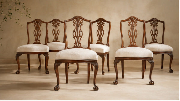 Dining Chairs collection image