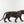 Load image into Gallery viewer, Life-Size Bronze Sculpture of a Walking Bengal Tiger by G. Van de Voorde
