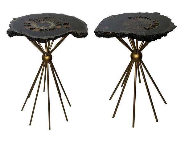 Pair of 20th Century Russian Ammonite Side Tables