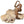 Load image into Gallery viewer, Didymoceras Stevensoni Heteromorph Ammonite Fossil on Matrix, South Dakota.
