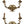 Load image into Gallery viewer, Pair of French Gilt Bronze Louis XV Style Two-Light Wall Sconces. 20th Century.
