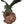 Load image into Gallery viewer, Monumental 20th century Chinese Spinach Jade Carved Eagle on Naturalistic Base
