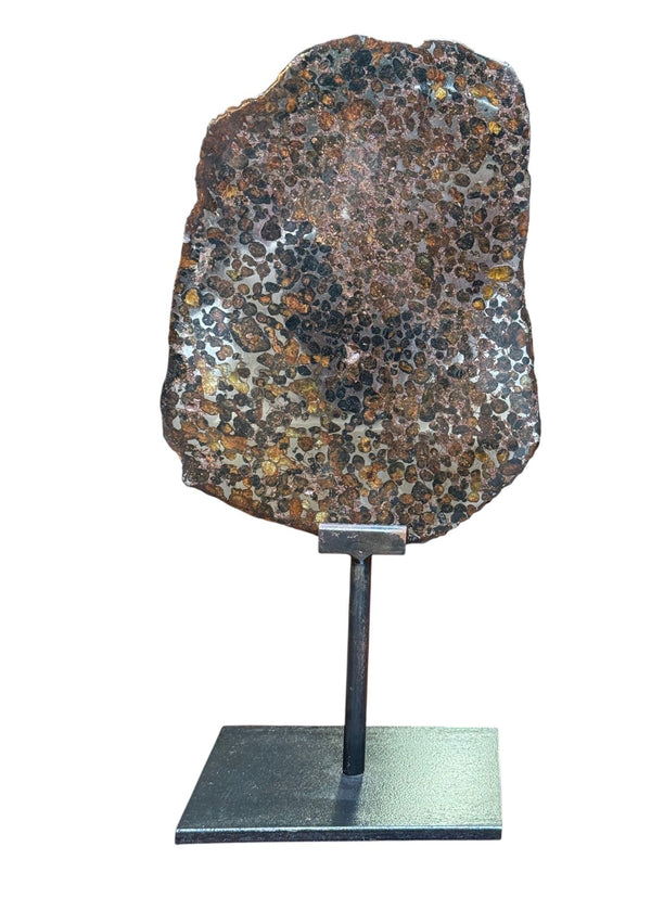 Pallasite Meteorite Slice from the Jericho Strewn Field, Kenya.