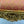 Load image into Gallery viewer, Pair of 20th Century Italian Hand-Carved Water Gilt Armchairs
