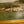 Load image into Gallery viewer, G. A. Hays American Sheep Pasture Landscape Oil Painting, circa 1900.

