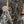 Load image into Gallery viewer, Monumental Venetian Wrought Iron, Wood &amp; Crystal Chandelier Early 19th Century
