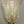 Load image into Gallery viewer, Set of Six Gold Bollicine Murano Sconces by Barovier e Toso. Italy, 1950&#39;s.
