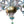 Load image into Gallery viewer, Italian Murano Glass Multi-Color Floral Chandelier
