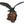 Load image into Gallery viewer, Monumental 20th century Chinese Spinach Jade Carved Eagle on Naturalistic Base
