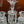 Load image into Gallery viewer, Pair of 19th Century Glass Obelisk Candelabras by Baccarat

