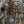 Load image into Gallery viewer, Monumental Venetian Wrought Iron, Wood &amp; Crystal Chandelier Early 19th Century
