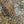 Load image into Gallery viewer, Pallasite Meteorite Slice from the Jericho Strewn Field, Kenya.

