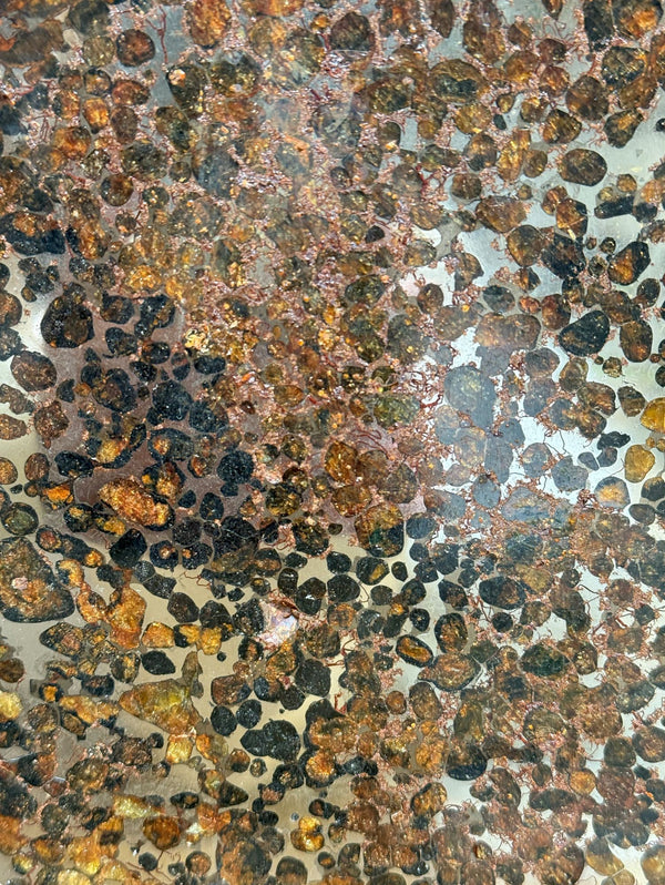 Pallasite Meteorite Slice from the Jericho Strewn Field, Kenya.