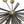 Load image into Gallery viewer, Vintage Italian Murano Glass Sputnik Semi-Flush Mount Chandelier, 1980's.
